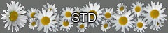 STD